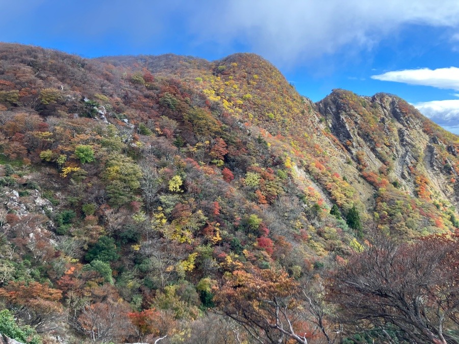 20251103釈迦ヶ岳山行