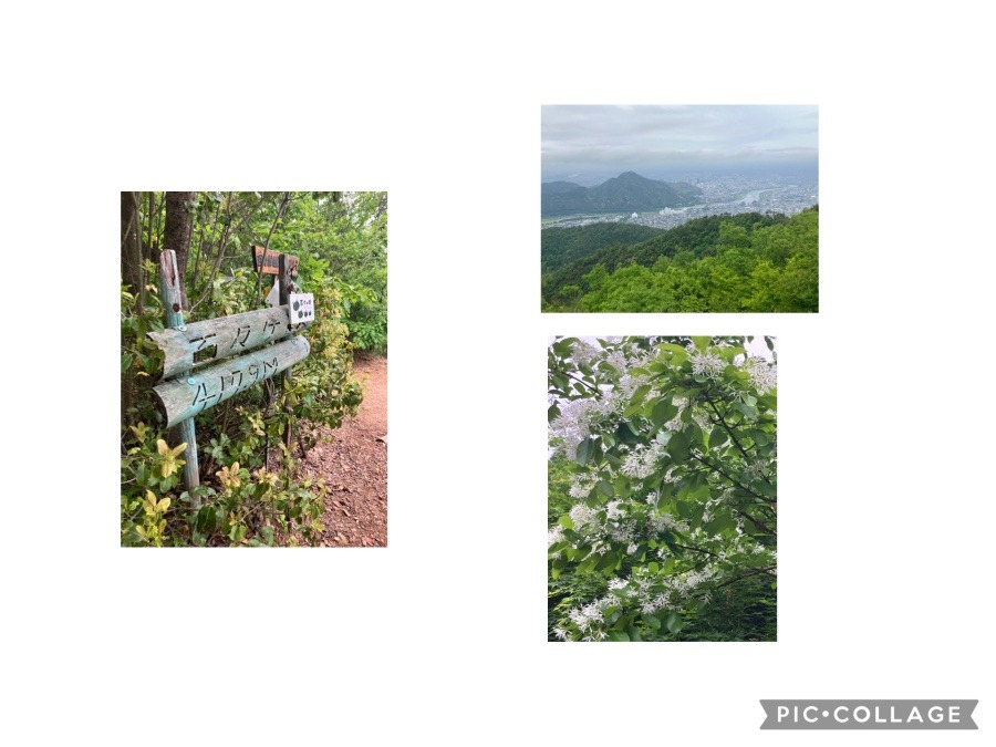 2026.5.6百々ヶ峰山行